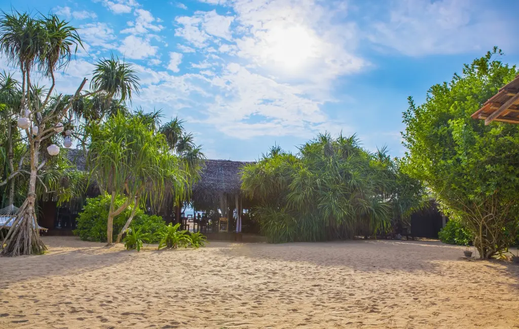 Ахунгалла: Отель Jungle Beach Camp Ahungalla