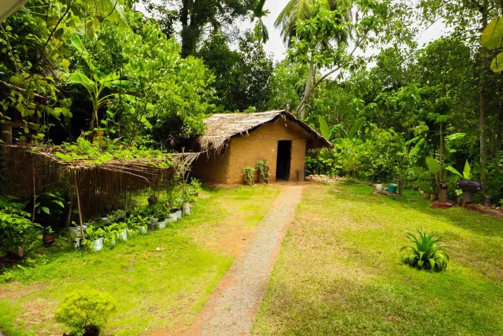 Тальпе: Гостевой Дом Yoho Pahalagawattha Homestay