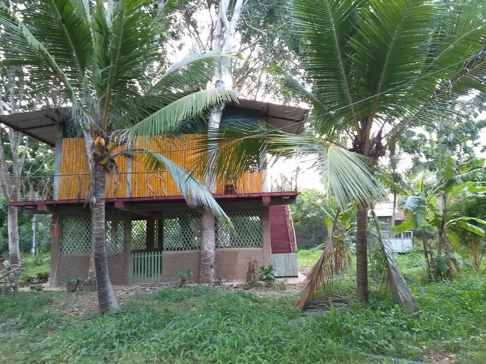 Киринда: Wooden Paracosm & Resort