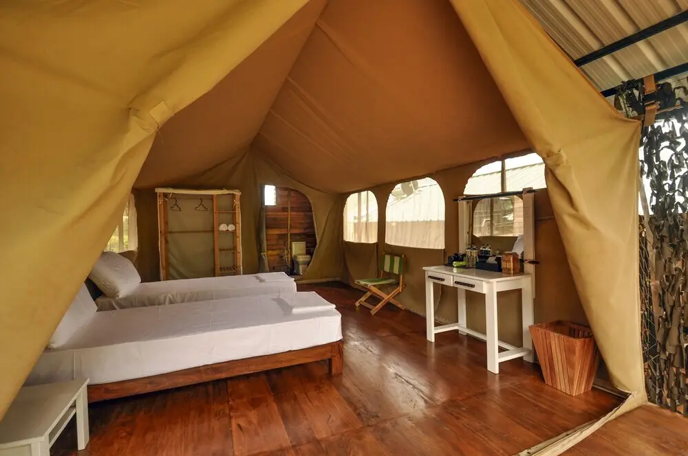 Канди: Wild Glamping Knuckles