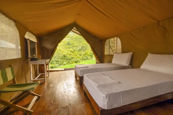 Канди: Wild Glamping Knuckles