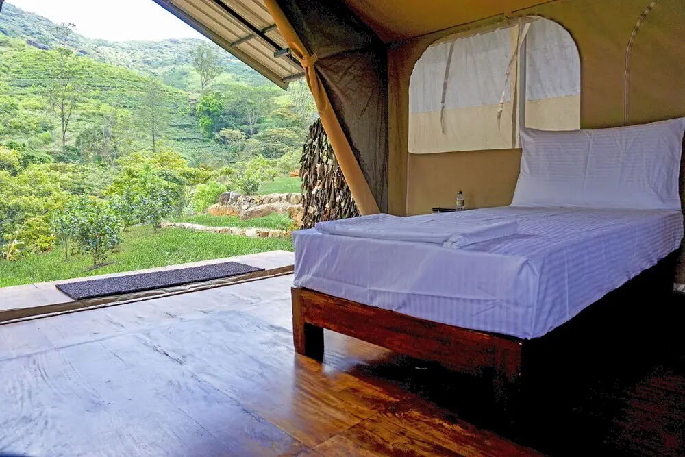 Канди: Wild Glamping Knuckles