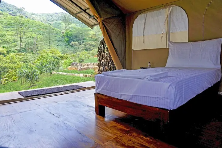 Канди: Wild Glamping Knuckles