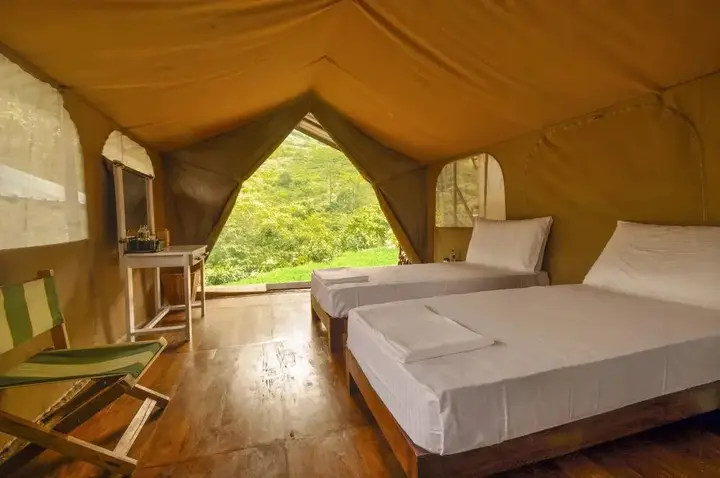 Канди: Wild Glamping