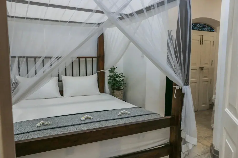 Галле: Villa Rosa Blanca White Rose