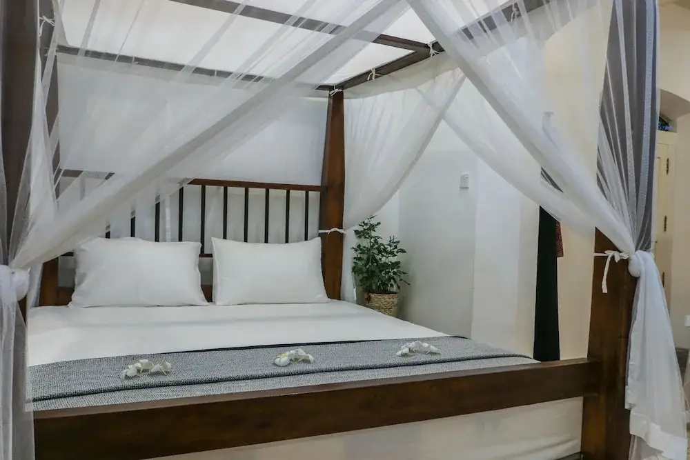 Галле: Villa Rosa Blanca White Rose