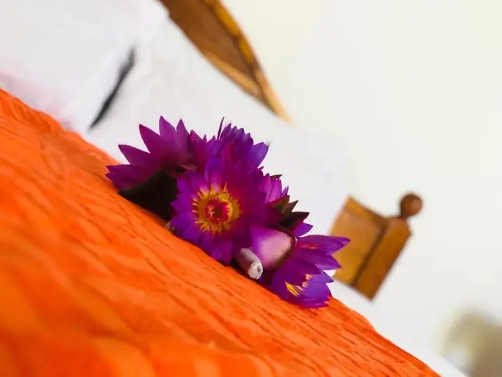 Валгама: Samanala Resort