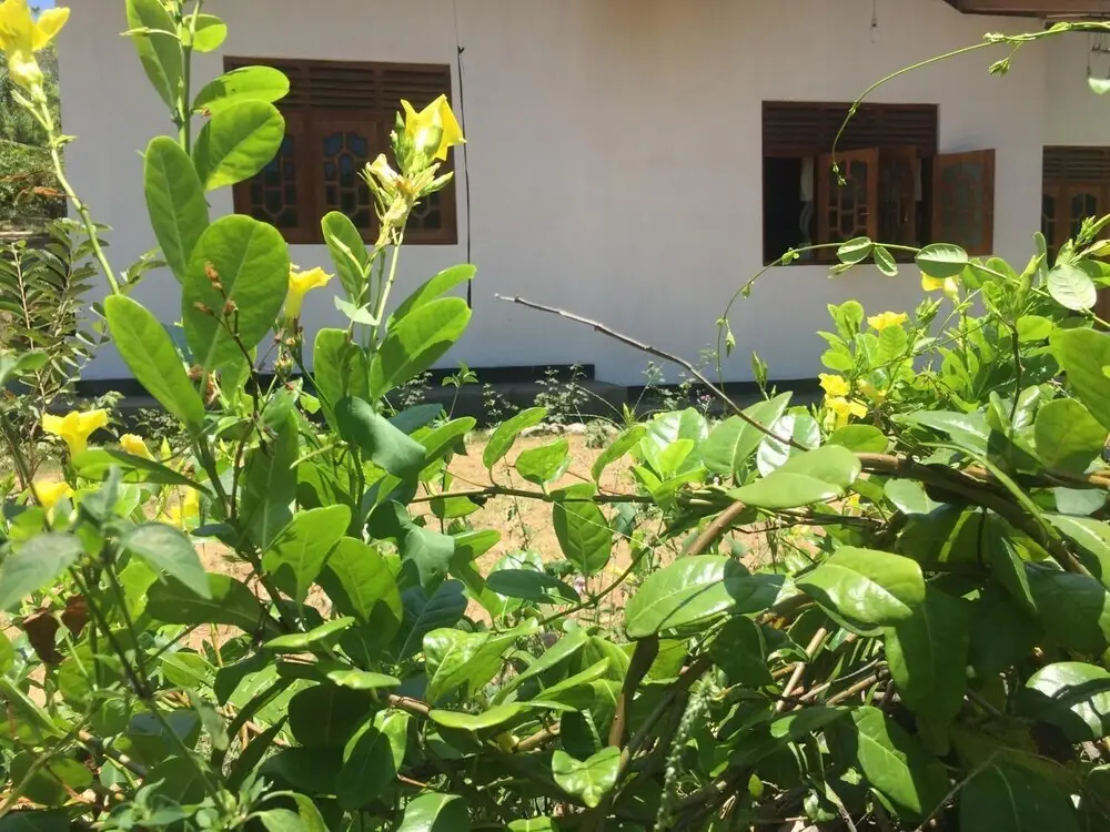 Kalindu Residence — фото 1