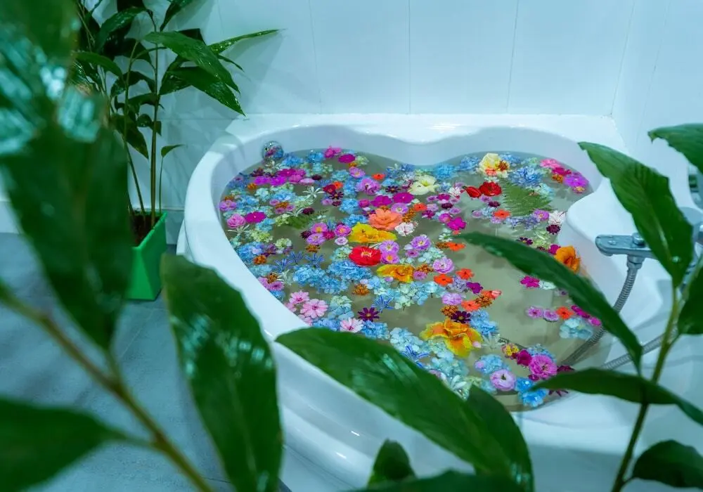 Богаванталава: Mandaram Eco Resort