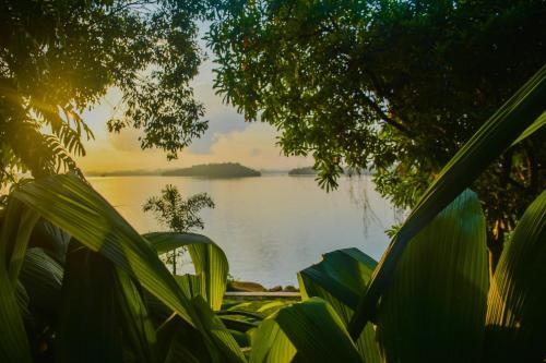 Ахунгалла: OYO 396 Lotus Paradise Nature Resort