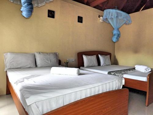 Тиссамахарама: Ceylon Wild Safaris Yala