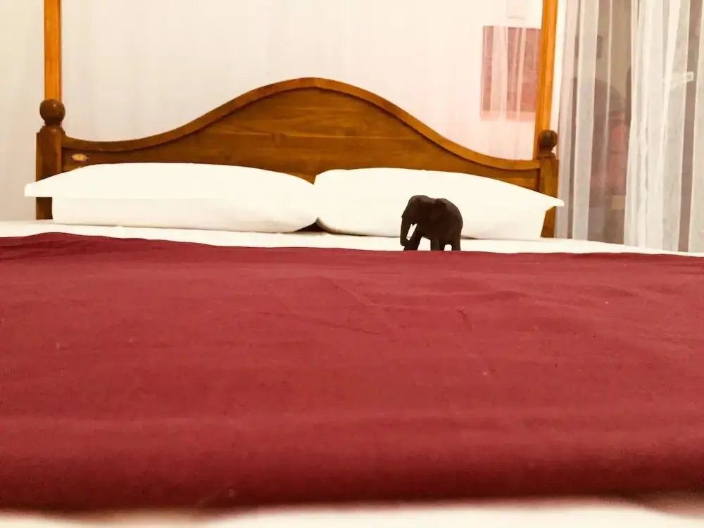 Канди: toropi homestay