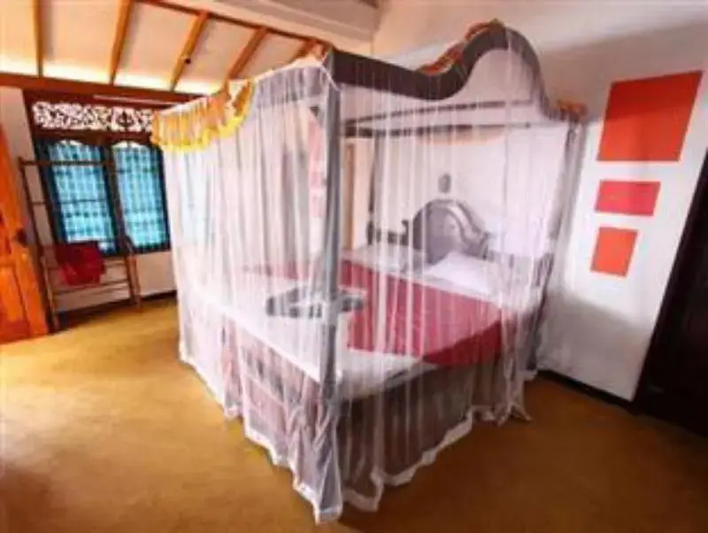 Мирисса: Vista Rooms Near Mirissa Beach 5
