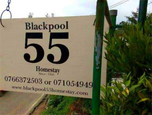Нувара-Элия: Blackpool 55
