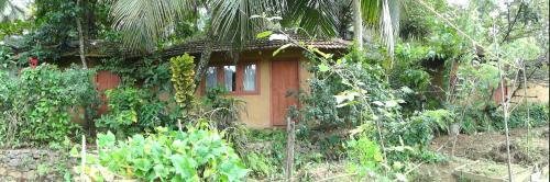 Денийяйя: Rural Jungle Backpackers Hostel