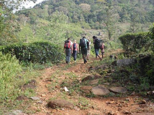 Денийяйя: Rural Jungle Backpackers Hostel