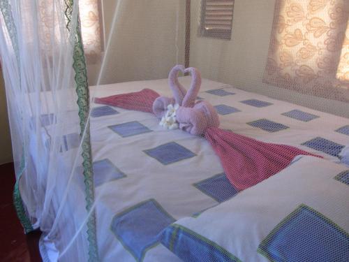Калпития: Gloria Guesthouse