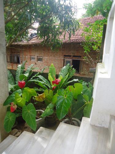 Тангалла: Ranji Homestay