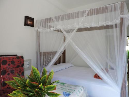 Валгама: Seadina Coral Home