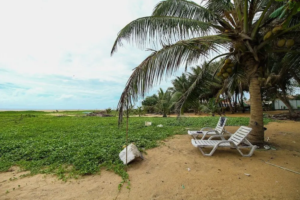 Негомбо: Sea Beach Resort