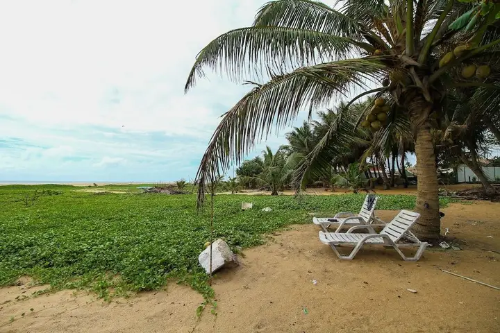 Негомбо: Sea Beach Resort
