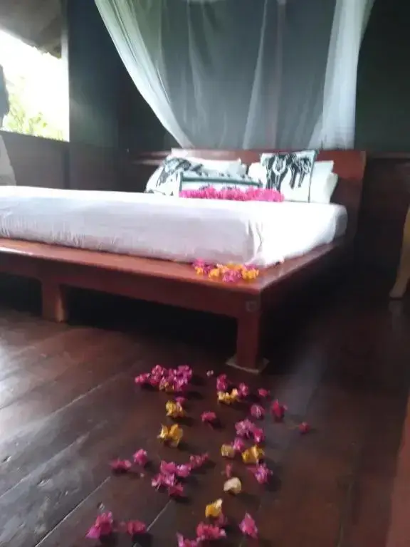 Дамбулла: Dambulla Tree House