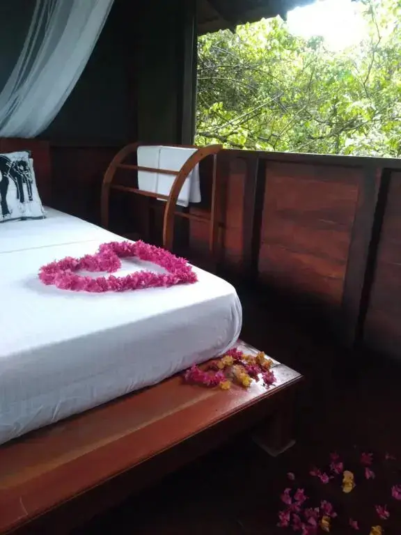 Дамбулла: Dambulla Tree House