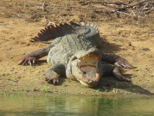 Катарагама: Safari Lodge Yala