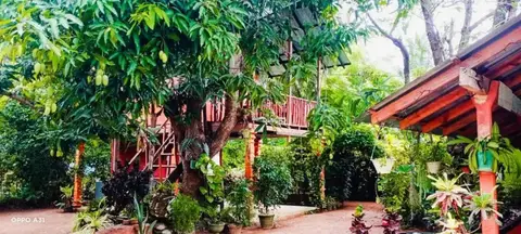 Sigiri Sky Home & Tree House — фото 1