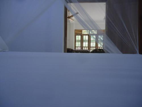Диквелла: Breath House