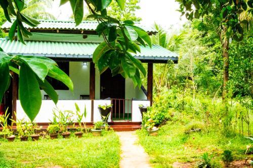 Сигирия: Everest Nest Sigiriya