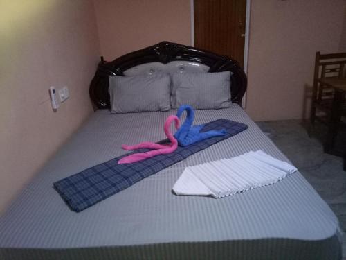 Джафна: Sky Light Guest Inn