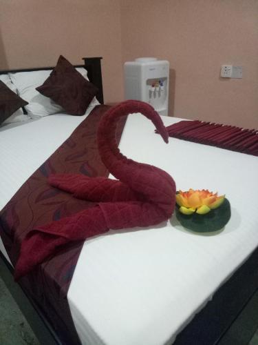 Джафна: Sky Light Guest Inn