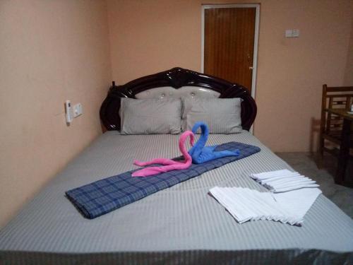 Джафна: Sky Light Guest Inn