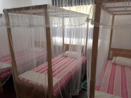 Галле: 26 Home Stay