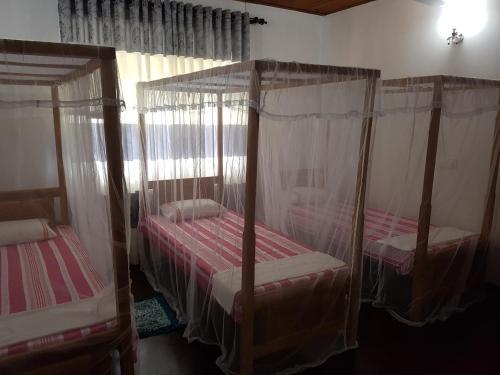 Галле: 26 Home Stay