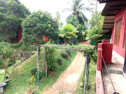 Котикаватта: Coca Cola Hostel