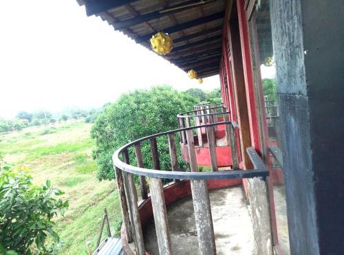 Котикаватта: Coca Cola Hostel