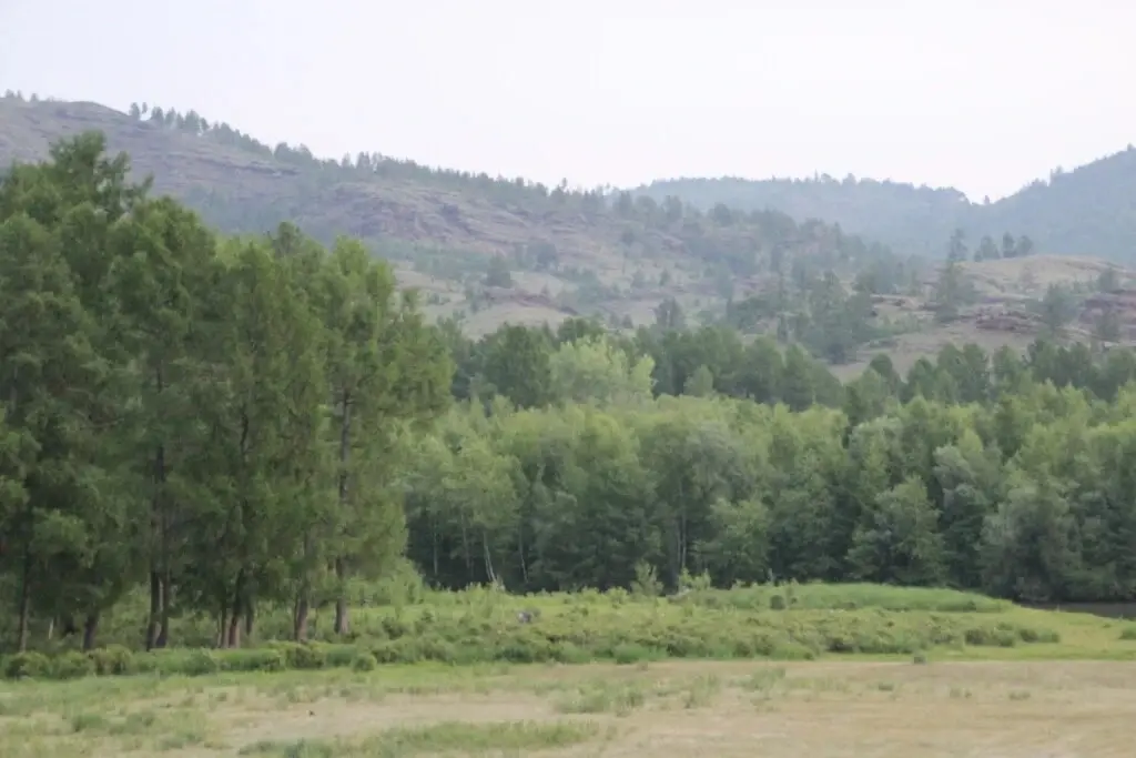 Аскиз: Altyin Ib Guest House	