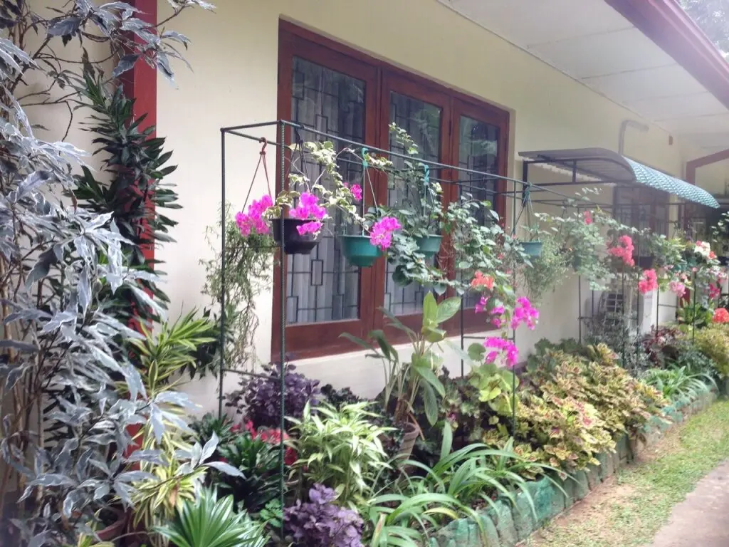 Канди: Yalegoda Walauwa Homestay