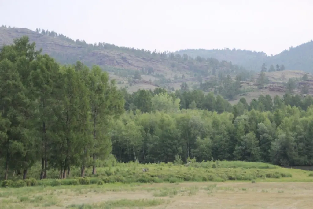 Аскиз: AltyinIb Guest House