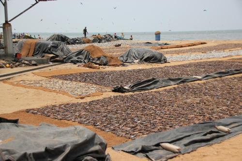 Негомбо: Hotel 198 Negombo