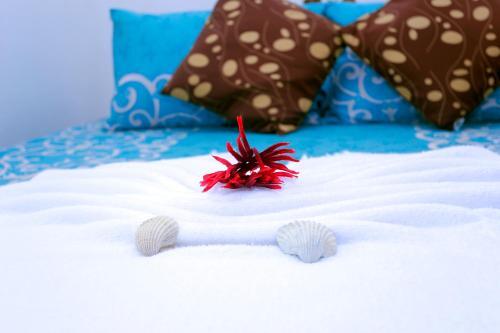 Камбуругамува: Turtles Holiday Inn