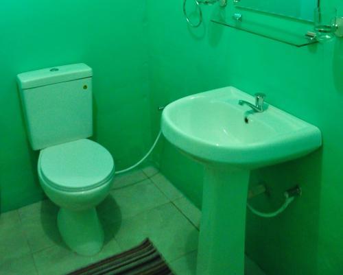 Сигирия: wish prabha lake view lodge