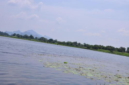 Сигирия: wish prabha lake view lodge