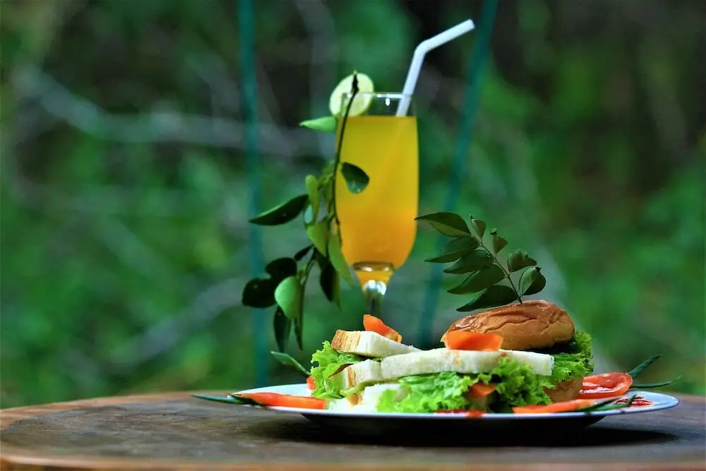 Тиссамахарама: Yala Wilderness Safari Camp