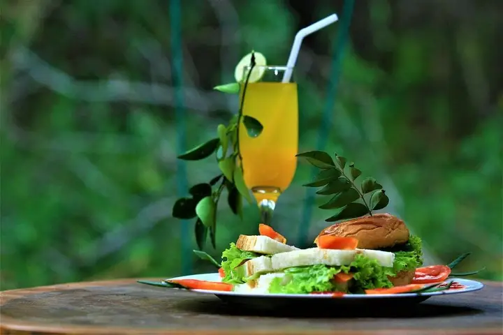 Тиссамахарама: Yala Wilderness Safari Camp