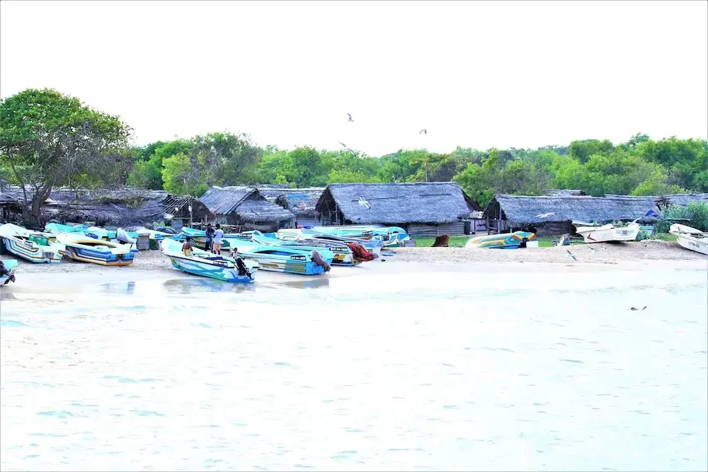 Тиссамахарама: Yala Wilderness Safari Camp