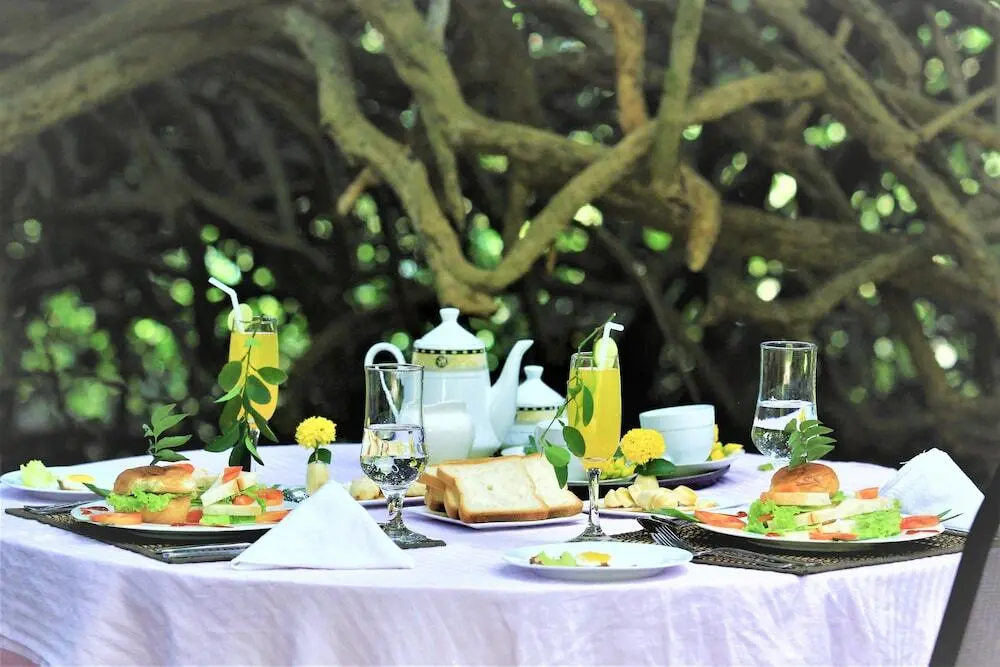 Тиссамахарама: Yala Wilderness Safari Camp