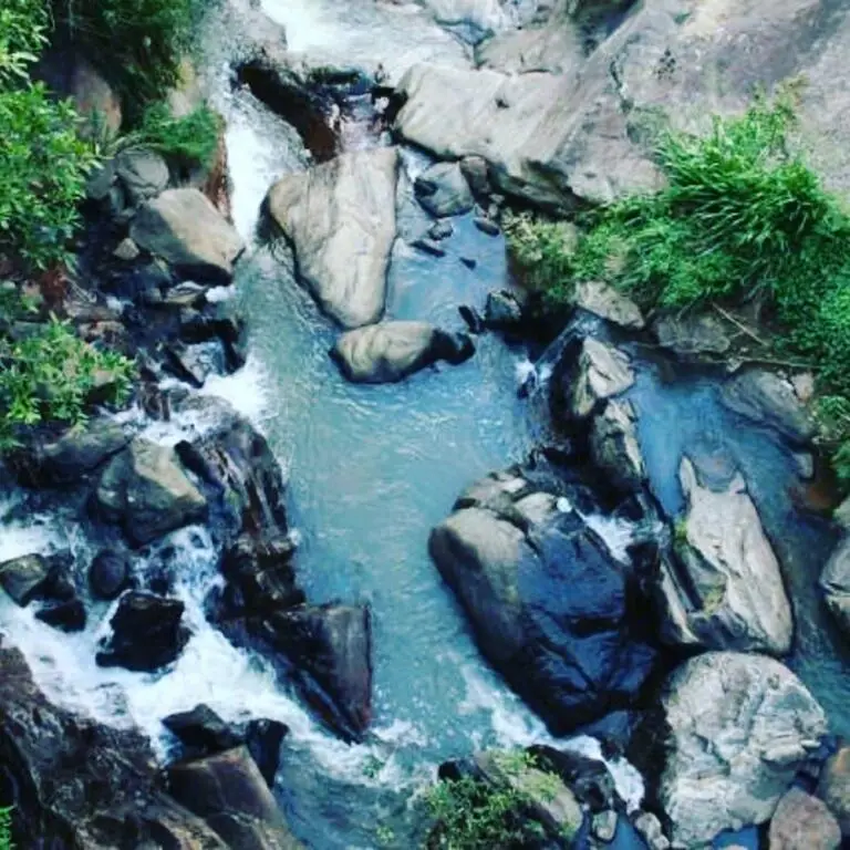Samadhi Nature Resort Ella — фото 1